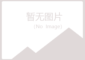 青岛崂山从安造纸有限公司